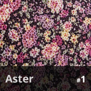 Aster 1
